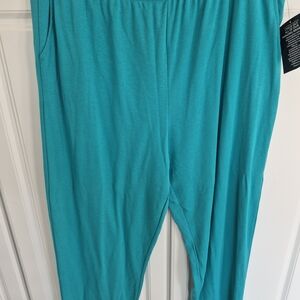 NWT 26/28 Woman Within Teal Track Pants 2X
